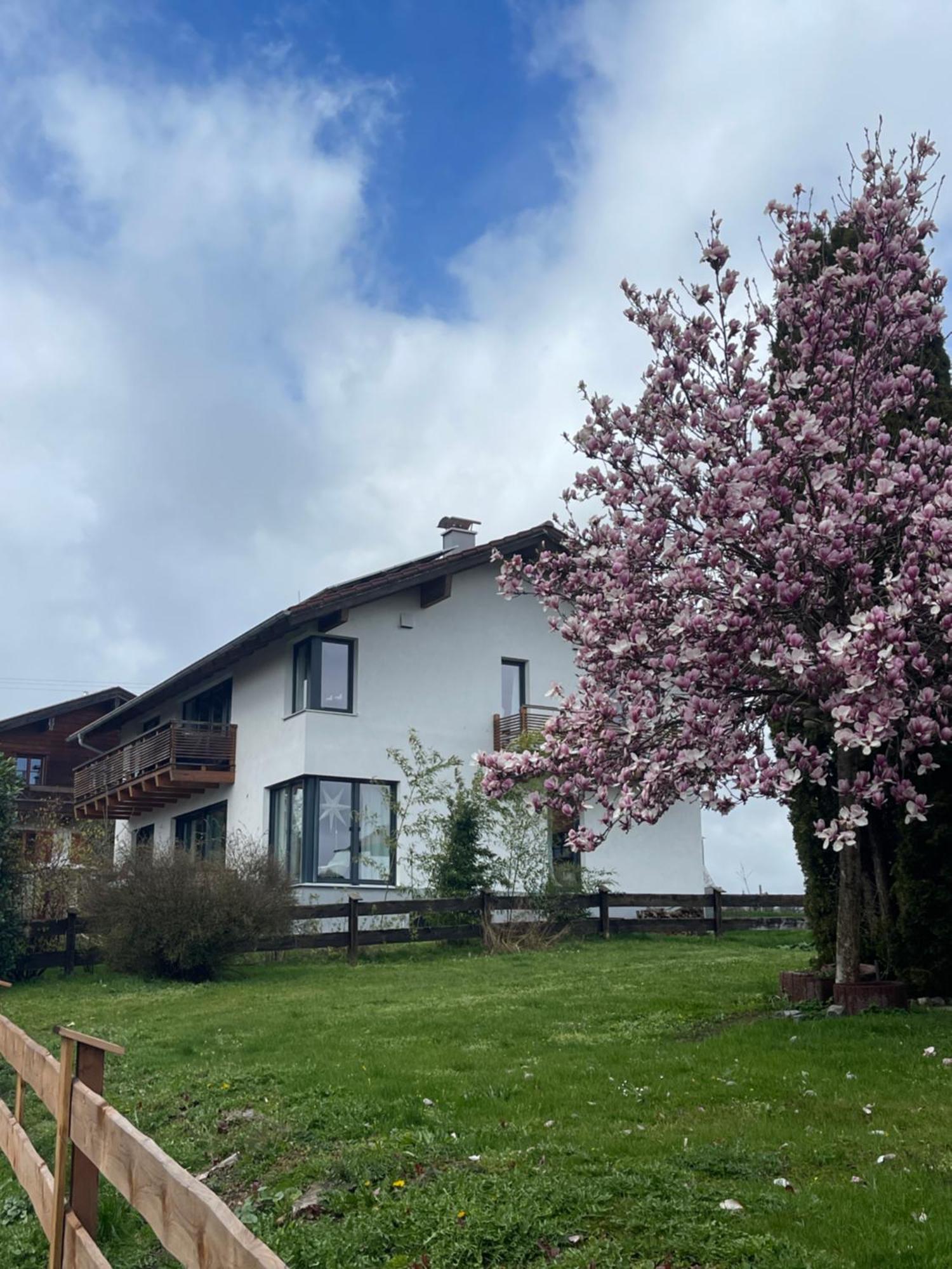 Appartment 53Qm Im Architektenhaus - 2 Schlafzimmer Mit Kueche Und Bad, Nur 2Min Von A8 - Ruhig Und Modern Irschenberg Exteriér fotografie